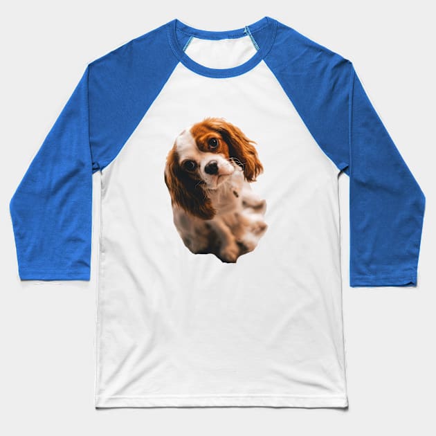 Cocker spaniel Baseball T-Shirt by Sarahsartfulstudies